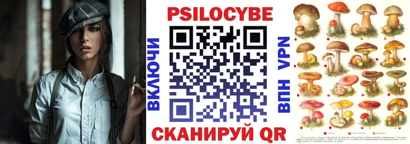 Псилоцибиновые грибы MAGIC MUSHROOMS  купить наркоту  Старая Русса 